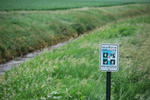 RIm easement