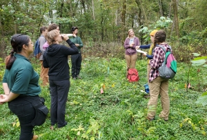 A group of people gather in an opening in the forest.