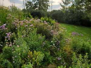Native planting habitat