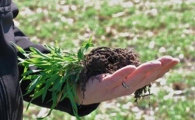 Winona SWCD staff Lance Klessig holds a handful of healthy soil.