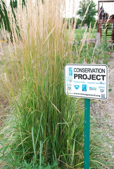 Picture of Conservation Project from Chisago SWCD
