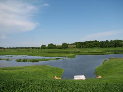 restored wetland for water storage