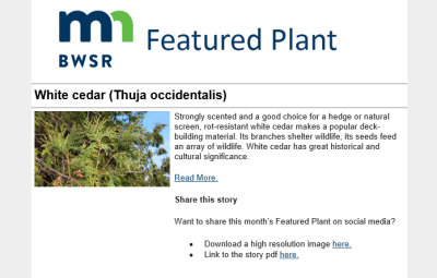 A screenshot of the Featured Plant newsletter