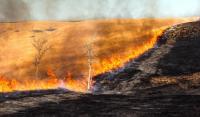 Prescribed burn of prairie landscape