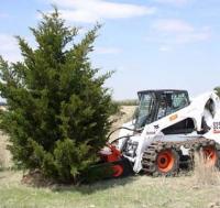 Tree removal with front end attachment on skid steer 