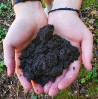 A pile of soil sits in a person's hand